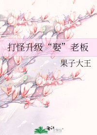 《打怪升级“娶”老板》