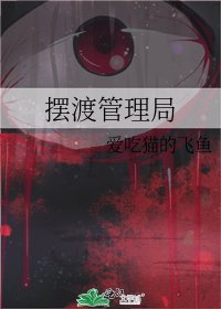 《摆渡管理局》