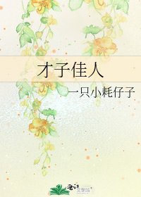 《才子佳人》