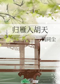 《归雁入胡天》