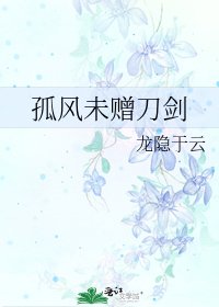 孤风未赠刀剑