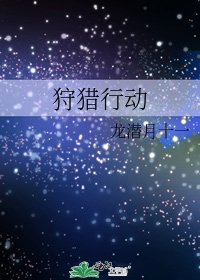《狩猎行动》