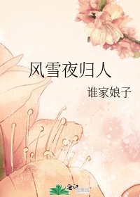 《风雪夜归人》