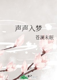 《声声入梦》
