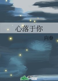 心落于你