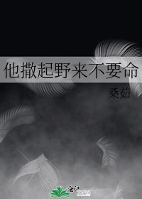 《他撒起野来不要命》