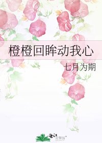 《橙橙回眸动我心》
