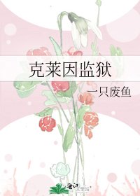 《克莱因监狱》