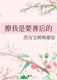 《撩我是要善后的》