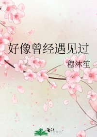 《好像曾经遇见过》