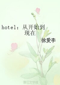 《hotel:从开始到现在》