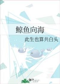 《鲸鱼向海》