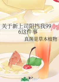 《关于新上司阻挡我996这件事》
