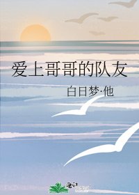 《矮上阁阁的队友》