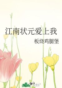 《江南状元爱上我》