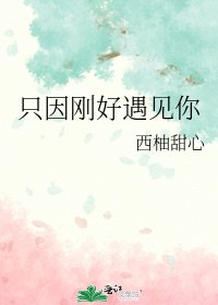 《只因刚好遇见你》