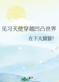 《见习天使穿越凹凸世界》