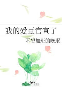 《我的爱豆官宣了》