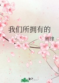 《我们所拥有的》