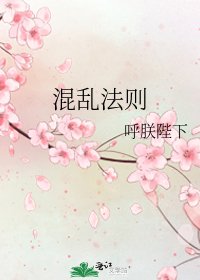 《混乱法则》