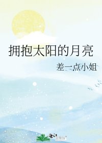 《拥抱太阳的月亮》