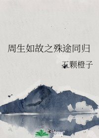 《周生如故之殊途同归》
