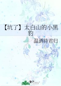 【坑了】太白山的小黑豹