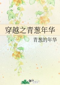 《穿越之青葱年华》