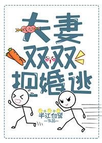 《夫妻双双把婚逃》