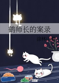 《鹤师长的案录》