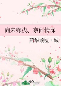 《向来缘浅、奈何情深》