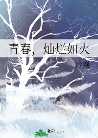 《青春,灿烂如火》
