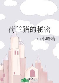 《荷兰猪的秘密》