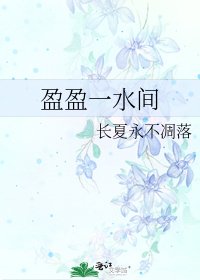 《盈盈一水间》