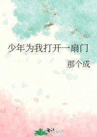 《少年为我打开一扇门》