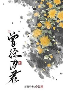 《曾经为君》