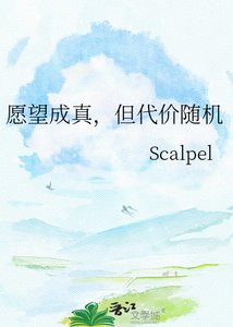 《愿望成真,但代价随机》