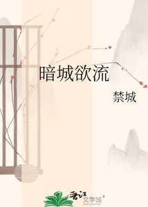 《暗城欲流》