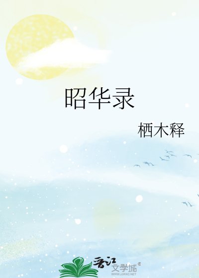 《昭华录》