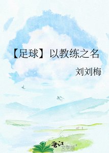 《【足球】以教练之名》