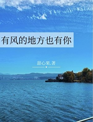 《有风的地方也有你》