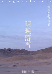 《明晚落雪》