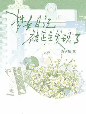 《梦女日记被正主发现了》