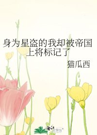 《身为星盗的我却被帝国上将标记了》