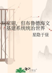 《玩家翅,但布鲁德海文基建系统统治世界》