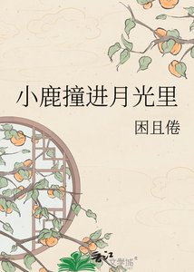 《小鹿撞进月光里》