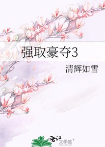 《强取豪夺3》