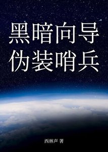 《黑暗向导伪装哨兵》