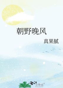 《朝野晚风》