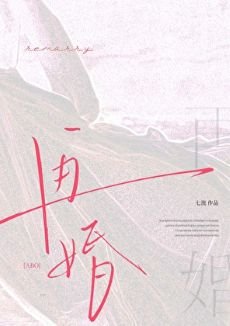 《再婚abo》